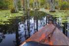 USA, South Carolina, Charleston. Boat in Cypress Gardens. Art Print